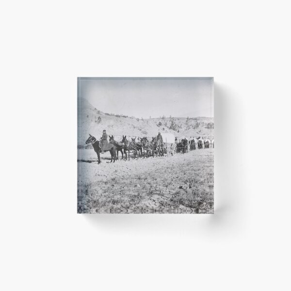 Item preview, Historic Mule-Drawn Wagon Supply Train Fort Spokane Photograph designed and sold by TheSoulOfArt.