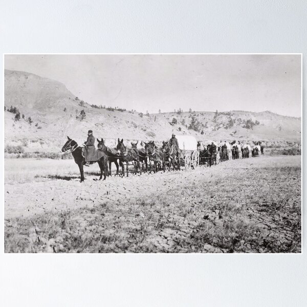 Item preview, Historic Mule-Drawn Wagon Supply Train Fort Spokane Photograph designed and sold by TheSoulOfArt.