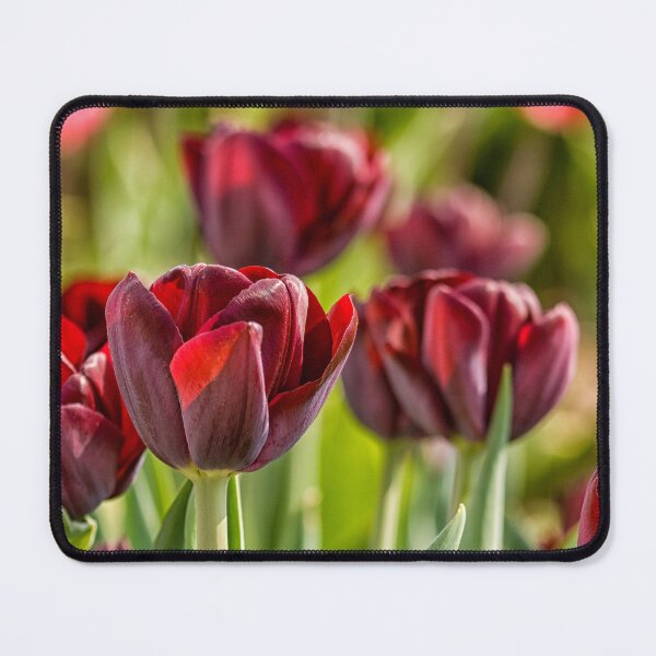 Item preview, Dak red tulips designed and sold by Photopat.