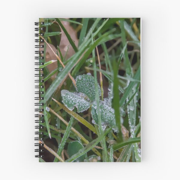 Item preview, Icy Crystals on Emerald Clover designed and sold by ShotsbyDesiree.