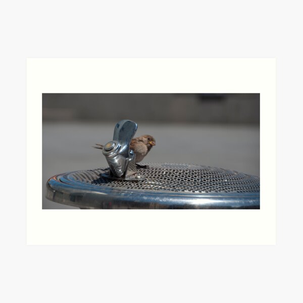 Can I have a Drink? Art Print
