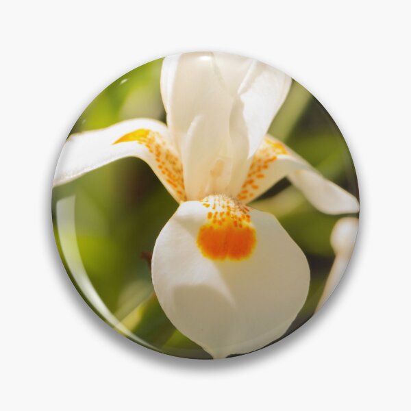 Item preview, White in Bloom designed and sold by Skyline-Art-Inc.