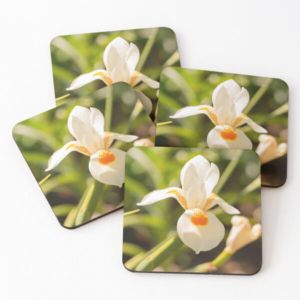 Item preview, White in Bloom designed and sold by Skyline-Art-Inc.