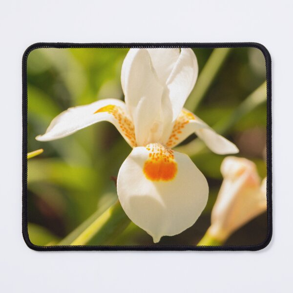Item preview, White in Bloom designed and sold by Skyline-Art-Inc.
