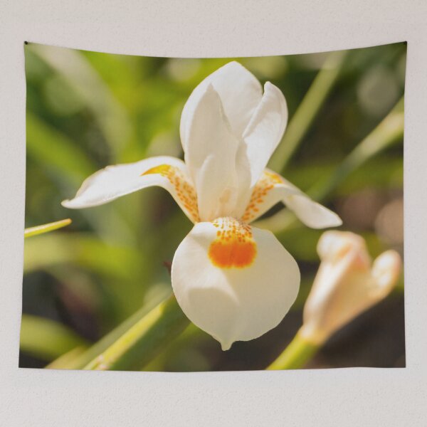 Item preview, White in Bloom designed and sold by Skyline-Art-Inc.