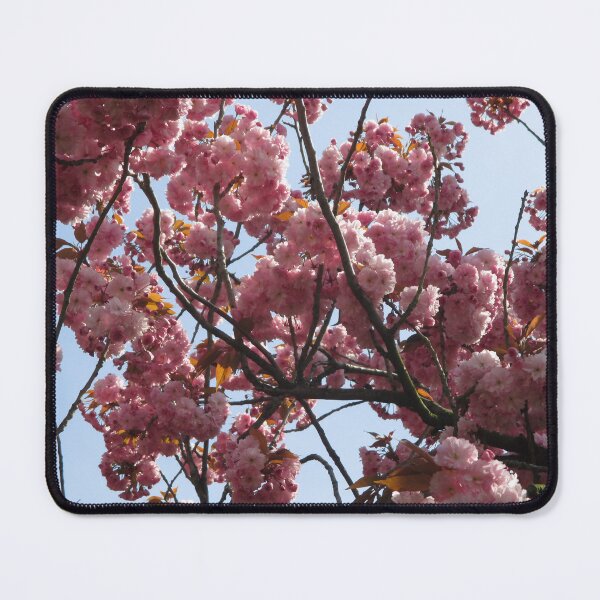 Item preview, Cherry Blossom I designed and sold by Katy Fryd.