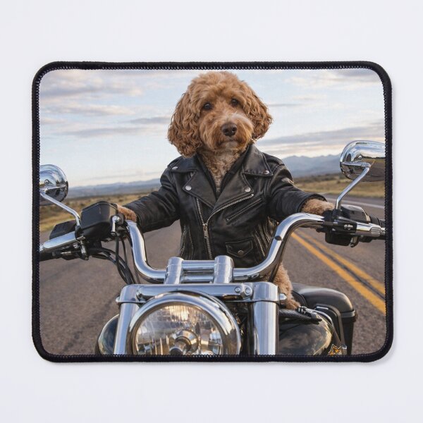 Item preview, Cockapoo Biker on the Open Road designed and sold by Paul Thompson Photography.