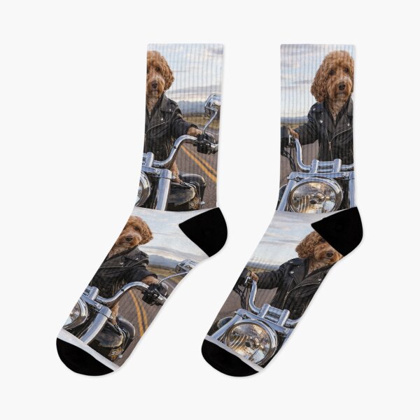 Item preview, Cockapoo Biker on the Open Road designed and sold by Paul Thompson Photography.