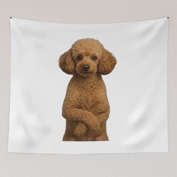 Item preview, Poodle Toy designed and sold by TodeNina.