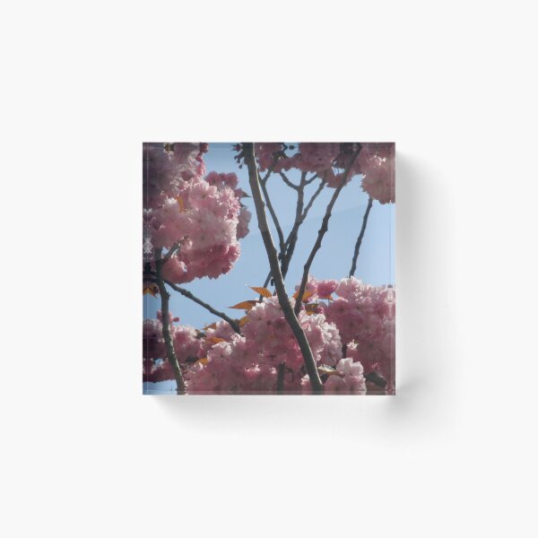 Item preview, Cherry Blossom III designed and sold by Katy Fryd.