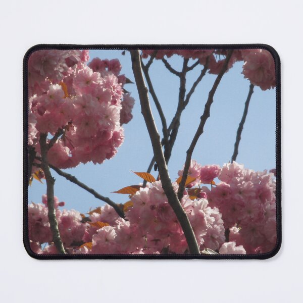 Item preview, Cherry Blossom III designed and sold by Katy Fryd.