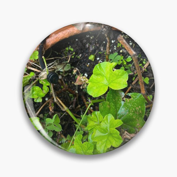 Item preview, Greenery  designed and sold by 55synonyms.