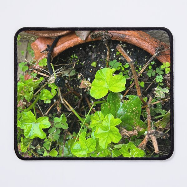 Item preview, Greenery  designed and sold by 55synonyms.
