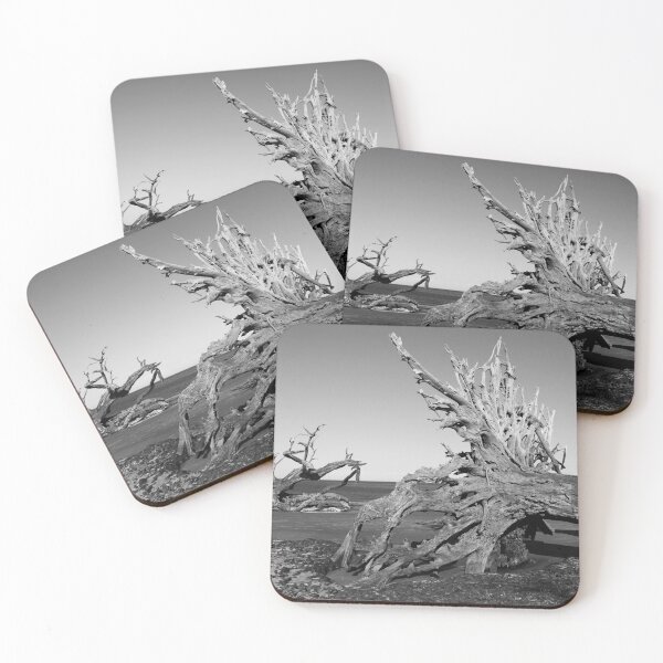 Item preview, Driftwood Beach designed and sold by Nordic Waters Collection.