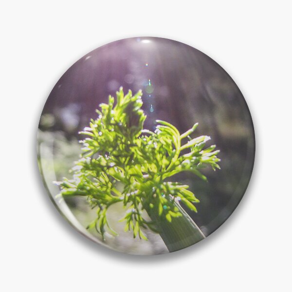 Item preview, Green Plant Stem With Sunlight Rays and Fresh Foliage in Soft Garden Bokeh designed and sold by Nmallia.