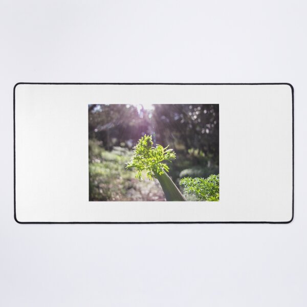Item preview, Green Plant Stem With Sunlight Rays and Fresh Foliage in Soft Garden Bokeh designed and sold by Nmallia.