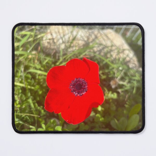 Item preview, Natural Light designed and sold by 55synonyms.