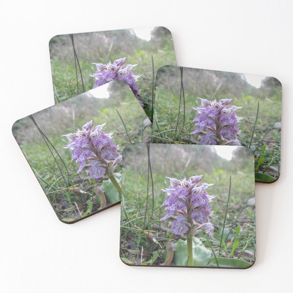 Item preview, Wild Purple Orchid Blooming in Grassy Meadow Close-Up With Speckled Petals and Green Leaves designed and sold by Nmallia.