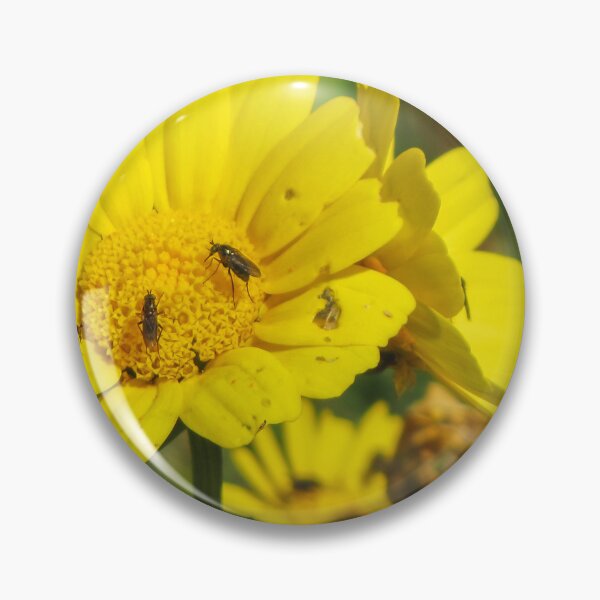 Item preview, Yellow Daisy With Small Insects Feeding on Pollen Close-Up Macro Wildflower Pollination Scene designed and sold by Nmallia.