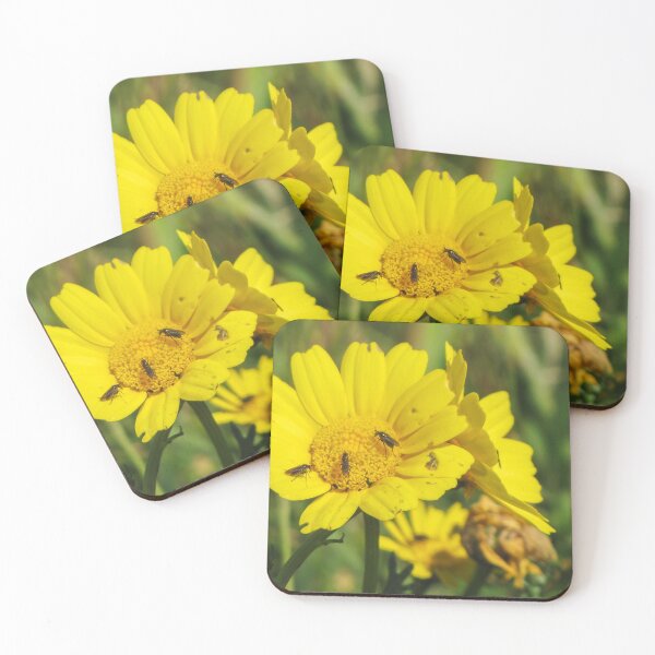 Item preview, Yellow Daisy With Small Insects Feeding on Pollen Close-Up Macro Wildflower Pollination Scene designed and sold by Nmallia.