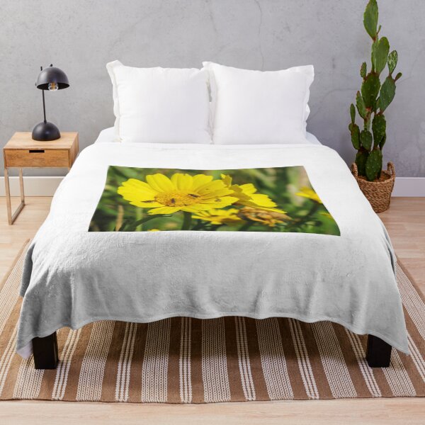 Item preview, Yellow Daisy With Small Insects Feeding on Pollen Close-Up Macro Wildflower Pollination Scene designed and sold by Nmallia.