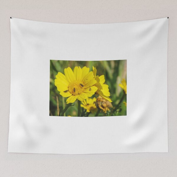 Item preview, Yellow Daisy With Small Insects Feeding on Pollen Close-Up Macro Wildflower Pollination Scene designed and sold by Nmallia.