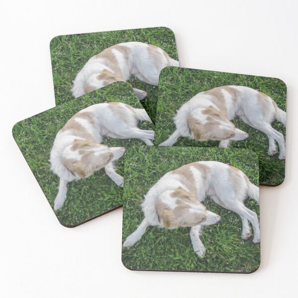 Item preview, Happy White and Tan Dog Lying on Green Grass in Park on Sunny Day designed and sold by Nmallia.