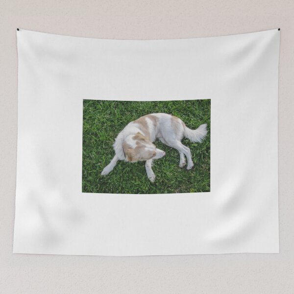 Item preview, Happy White and Tan Dog Lying on Green Grass in Park on Sunny Day designed and sold by Nmallia.