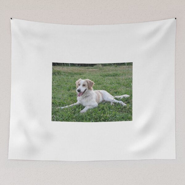 Item preview, Happy White and Tan Dog Lying on Green Grass in Park on Sunny Day designed and sold by Nmallia.