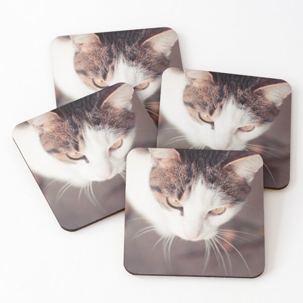 Item preview, Cat burglar designed and sold by Alda Villiljós.
