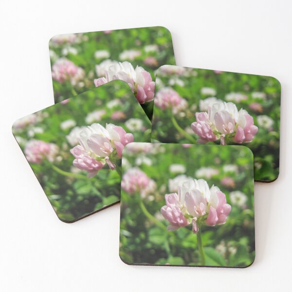 Item preview, Pink and White Clover Flower Close-Up in Sunny Meadow for Spring Nature and Floral Background designed and sold by Nmallia.