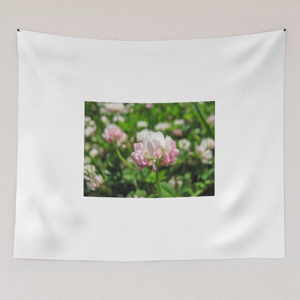Item preview, Pink and White Clover Flower Close-Up in Sunny Meadow for Spring Nature and Floral Background designed and sold by Nmallia.