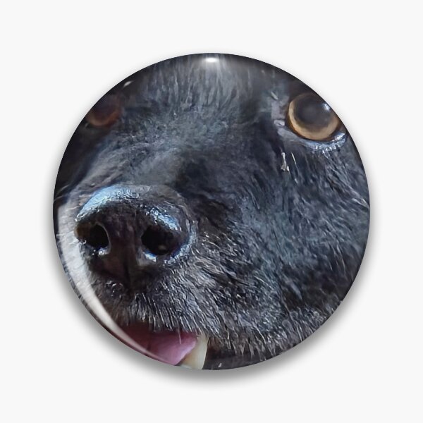 Item preview, Happy Black Dog Portrait vagy Cute Senior Black Dog Smiling designed and sold by Buf79.