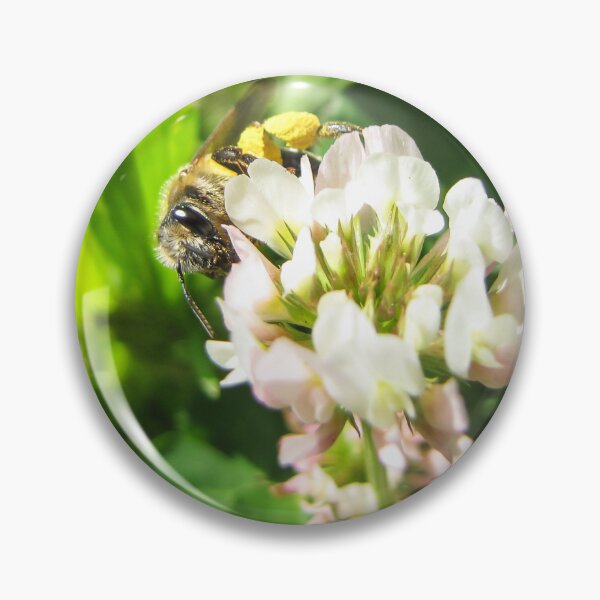 Item preview, Honeybee Collecting Pollen On White Clover Flower In Sunny Green Meadow Close-Up designed and sold by Nmallia.