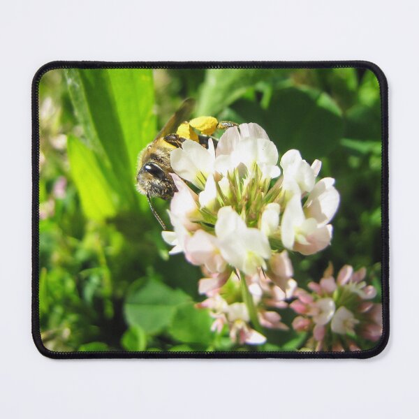Item preview, Honeybee Collecting Pollen On White Clover Flower In Sunny Green Meadow Close-Up designed and sold by Nmallia.