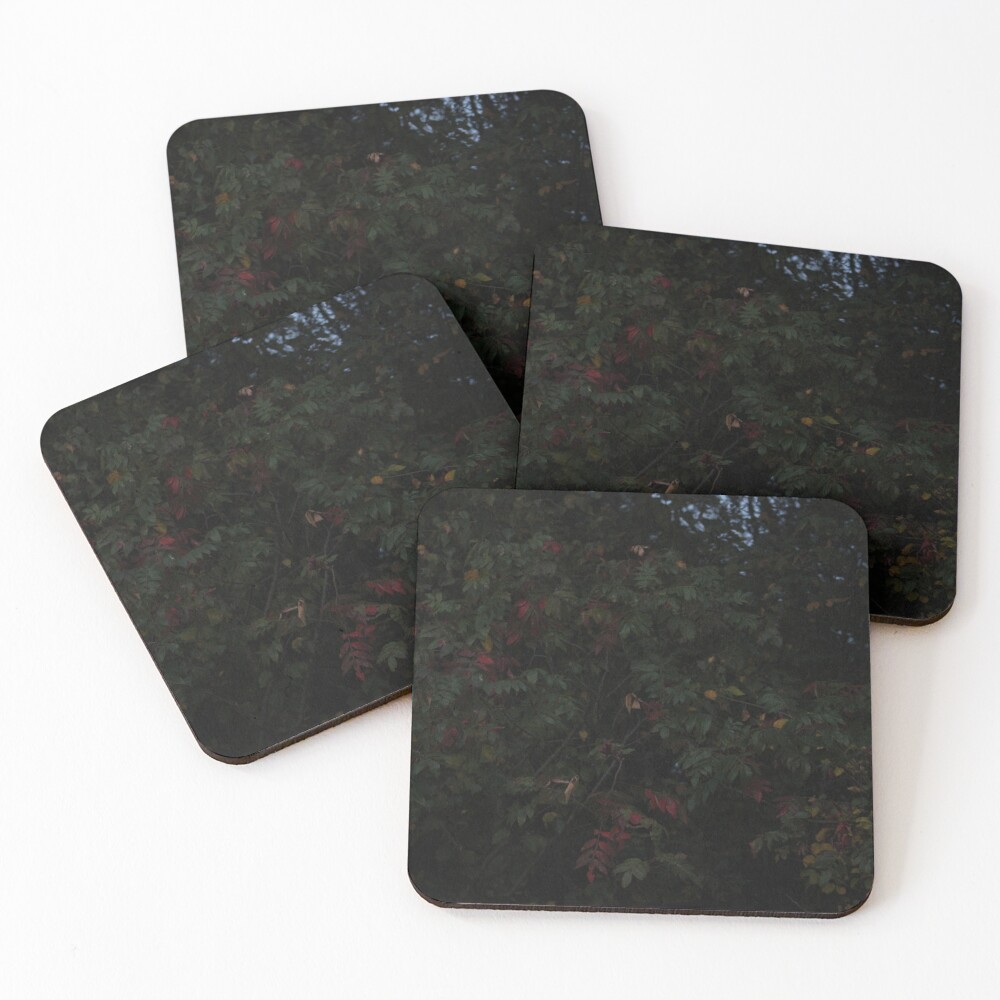 Item preview, Coasters (Set of 4) designed and sold by Liminalities.