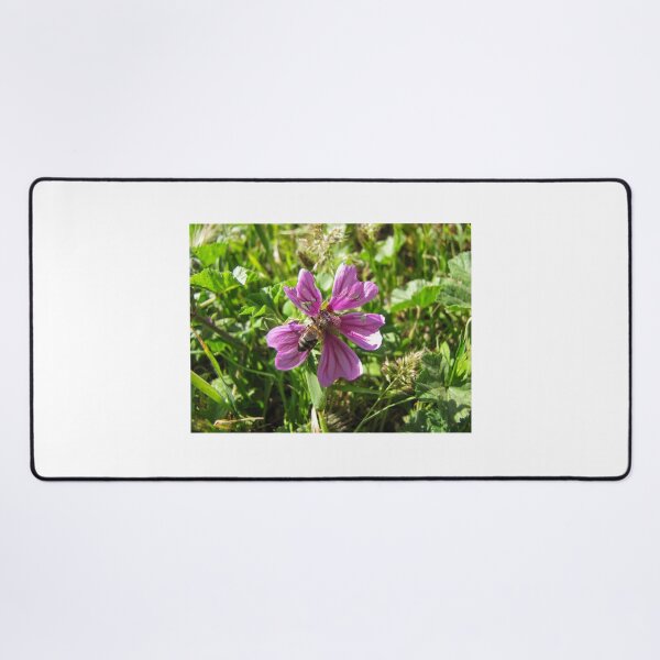 Item preview, Close-Up Of Honeybee Pollinating Pink Wildflower In Sunny Meadow Grass designed and sold by Nmallia.