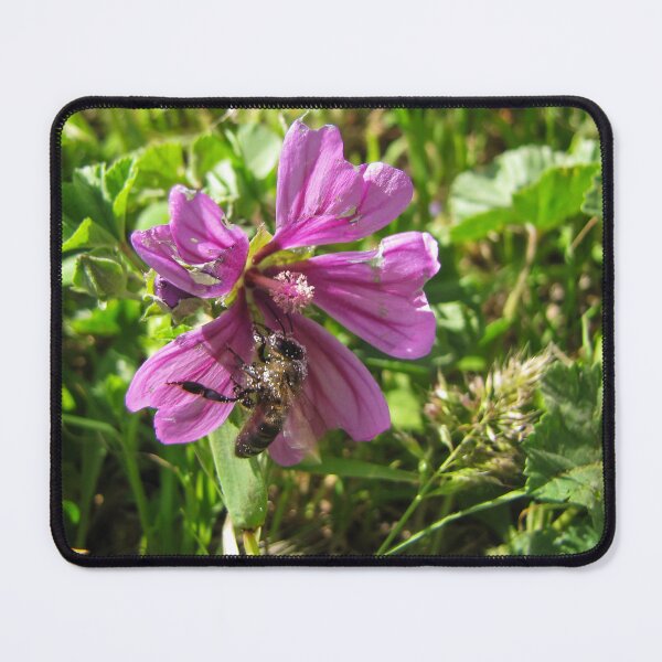 Item preview, Close-Up Of Honeybee Pollinating Pink Wildflower In Sunny Meadow Grass designed and sold by Nmallia.
