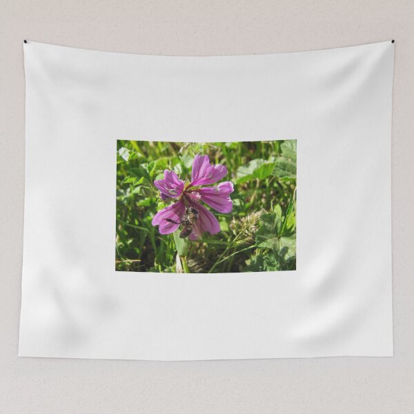 Item preview, Close-Up Of Honeybee Pollinating Pink Wildflower In Sunny Meadow Grass designed and sold by Nmallia.