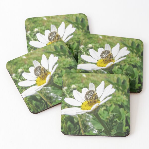 Item preview, Close-Up Of A Beetle On A White Daisy Flower In A Sunlit Meadow Macro Nature designed and sold by Nmallia.