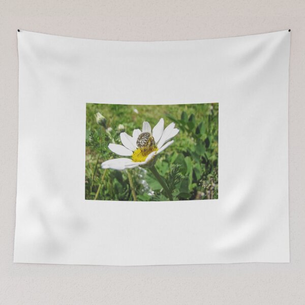 Item preview, Close-Up Of A Beetle On A White Daisy Flower In A Sunlit Meadow Macro Nature designed and sold by Nmallia.
