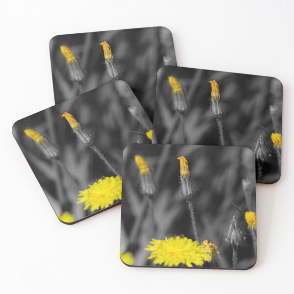 Item preview, Yellow flower buds on a black and white background designed and sold by Christian Bestard.