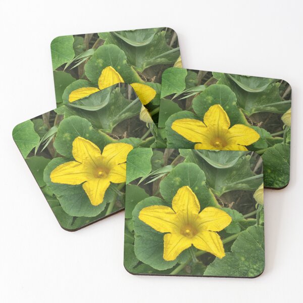 Item preview, Yellow Squash Blossom Macro designed and sold by LavaAndLight.