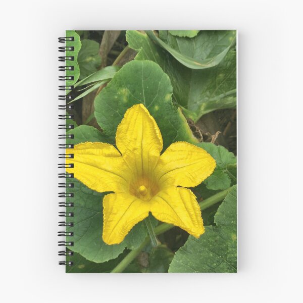 Item preview, Yellow Squash Blossom Macro designed and sold by LavaAndLight.