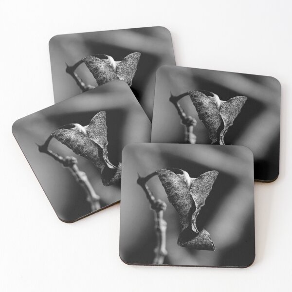 Item preview, Dead leaf in black and white designed and sold by Christian Bestard.
