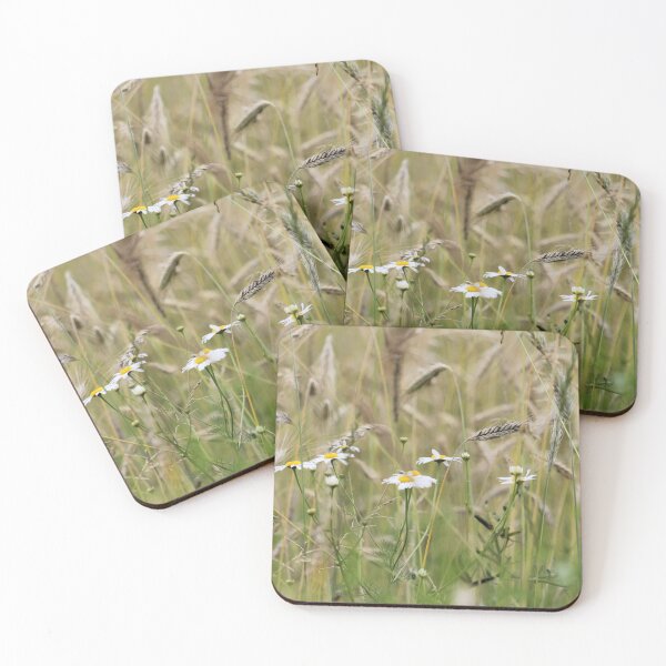 Item preview, Daisies designed and sold by Zummi.