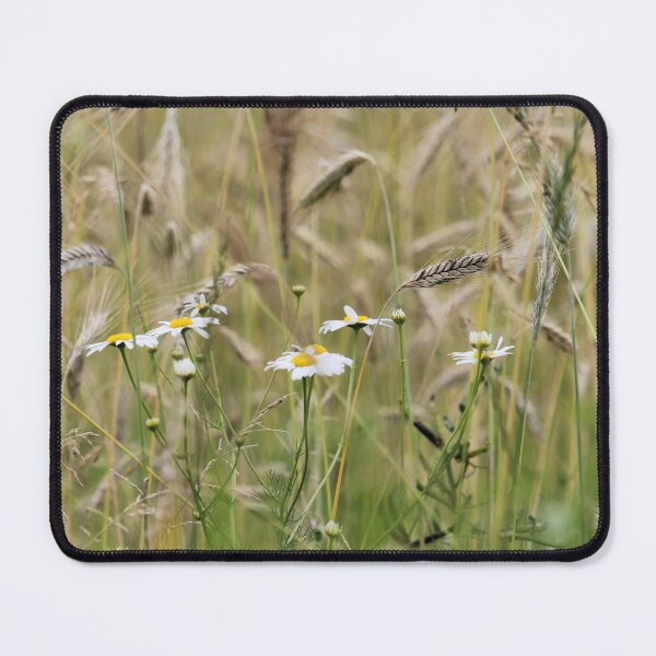 Item preview, Daisies designed and sold by Zummi.