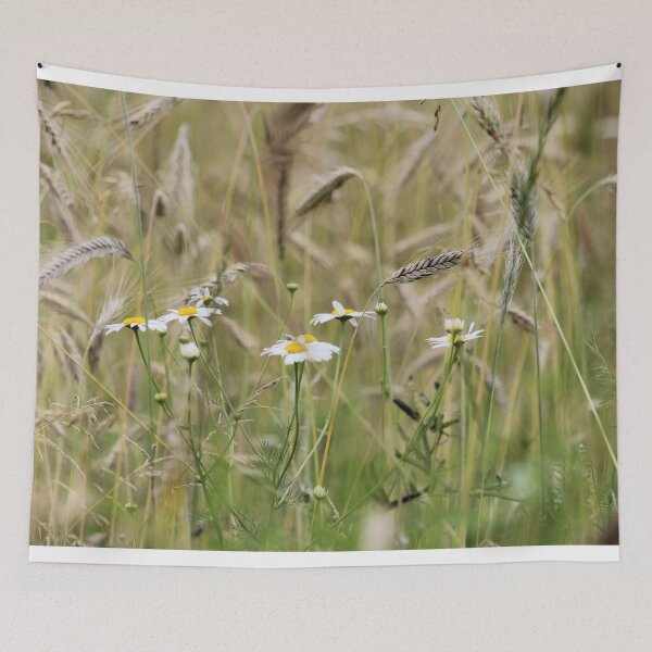Item preview, Daisies designed and sold by Zummi.