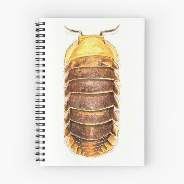 Item preview, Rubber Ducky Isopod designed and sold by Avhstudio.