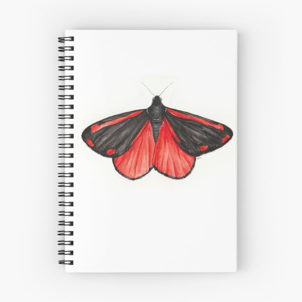 Item preview, Cinnabar Moth designed and sold by Avhstudio.